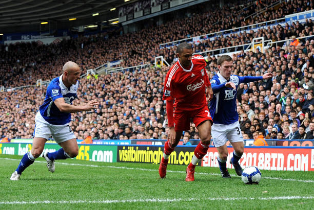 新的生机 新的生机