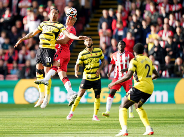 维奇加盟南 维奇加盟南